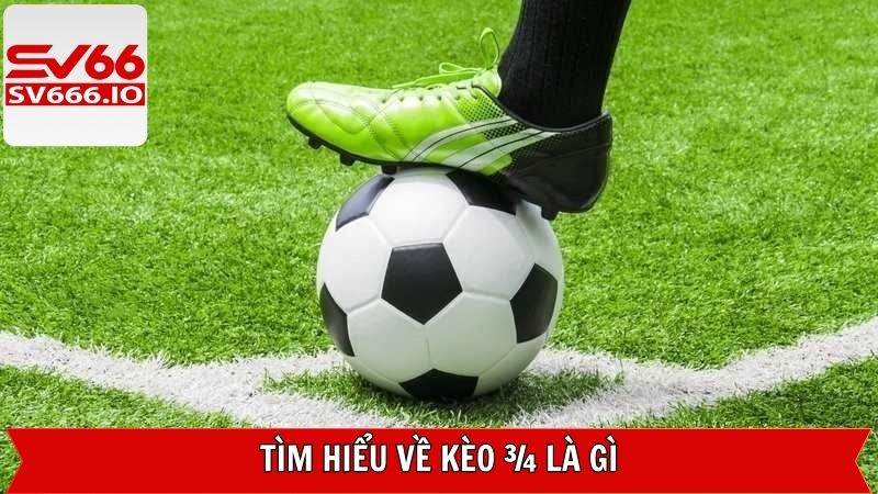 Đôi nét về tỷ lệ cược chấp thú vị tại SV66